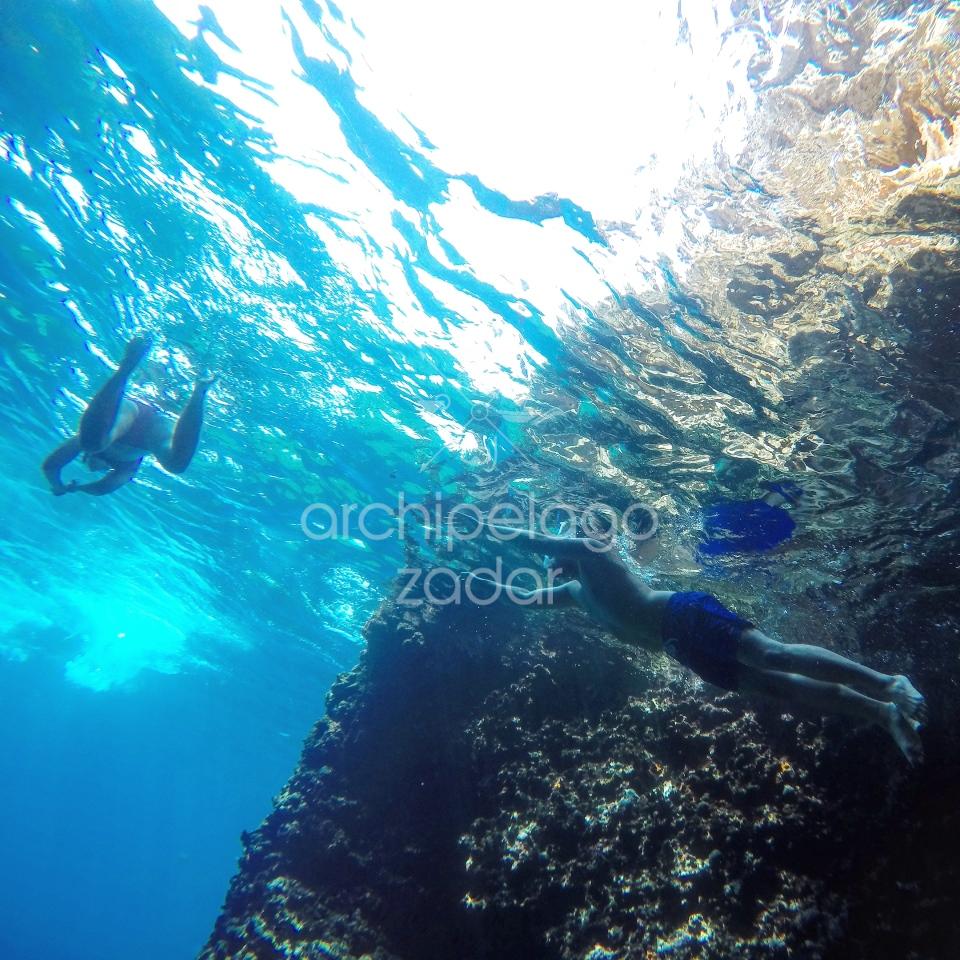 snorkeling spots in zadar marine life in kornati islands