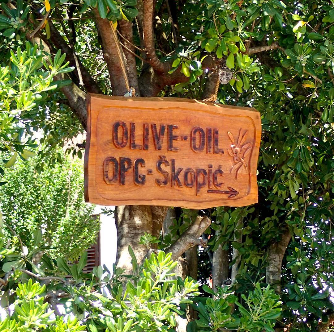 local products in zadar olive oil ugljan 