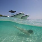 diving during a speedboat tour