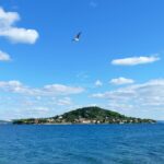 seagull-over-galevac-island-molat-and-ugljan-boat-tour