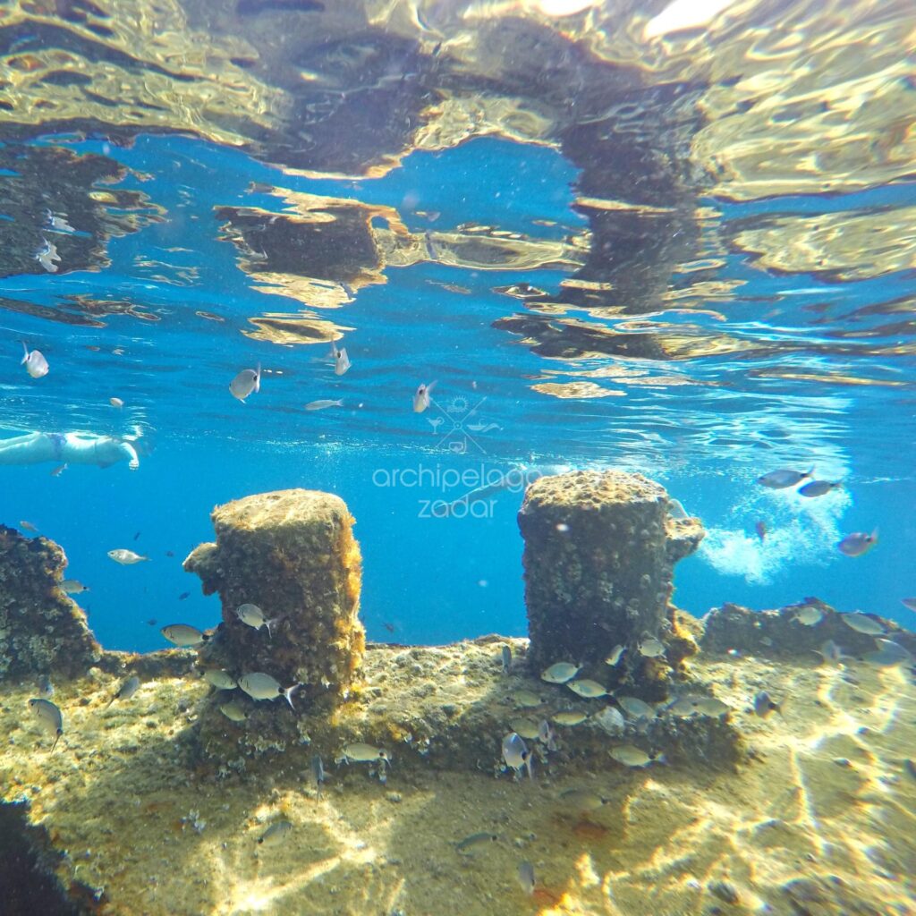 snorkeling-with-fishes-near-a-sunken-ship