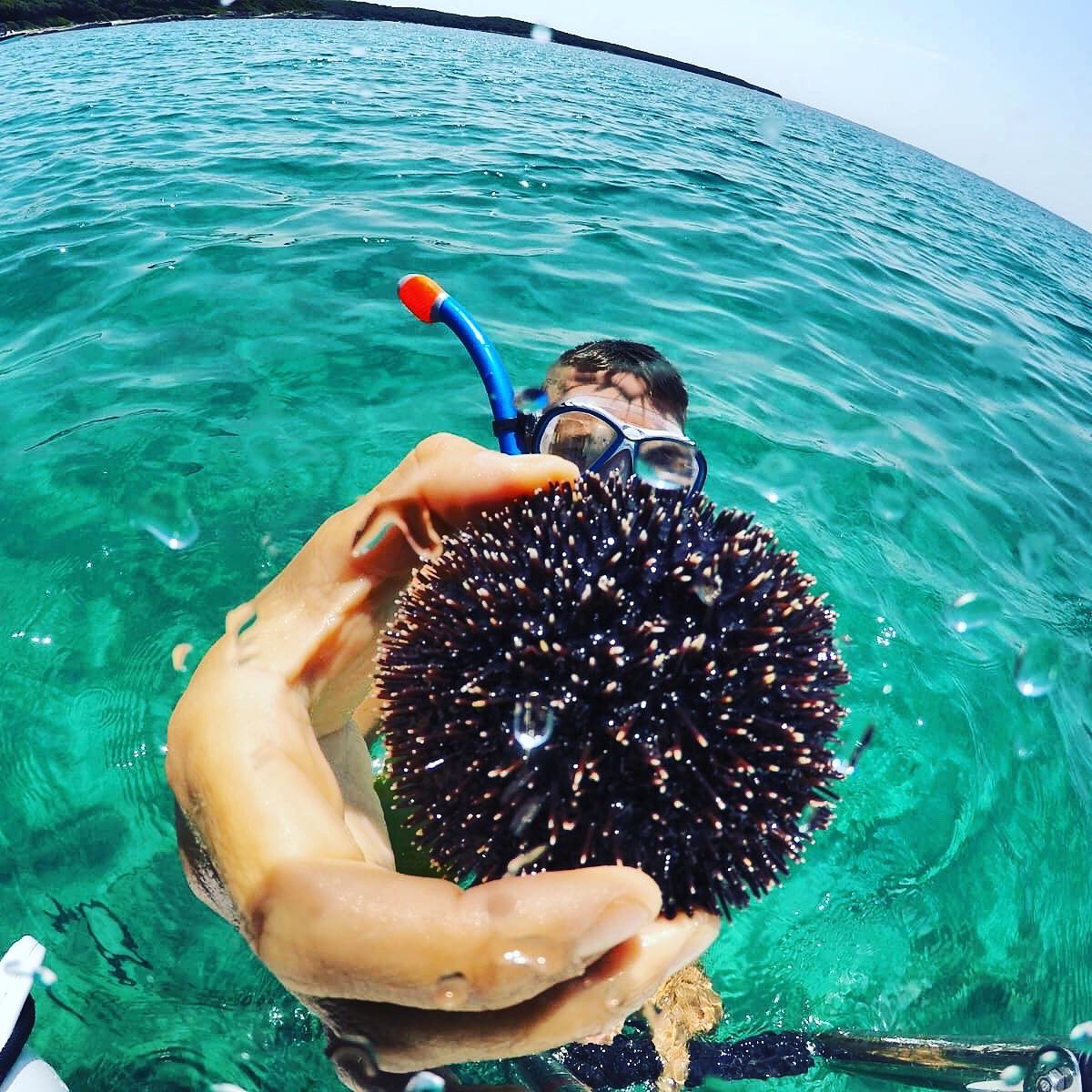 Diving in the Croatian Adriatic sea
