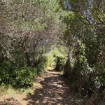 exploring the unknown routes in a boat trip to osljak