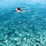 snorkeling with fish boat trip adventure
