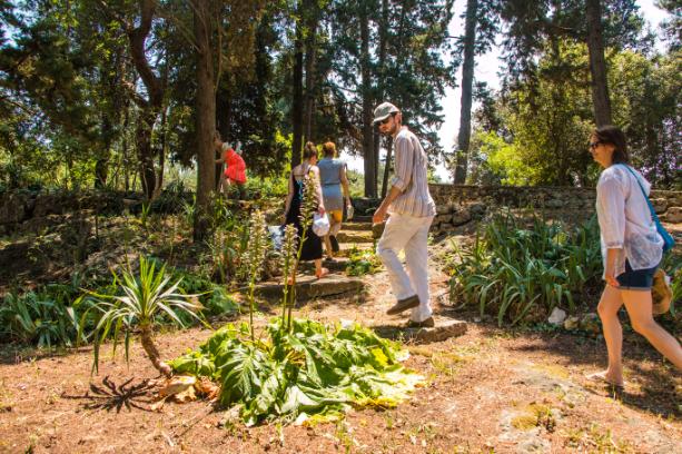 Galevac Private Boat tour, historic tour (27)