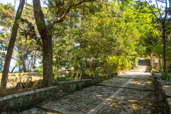 Galevac Private Boat tour, monastery grounds tour (27)