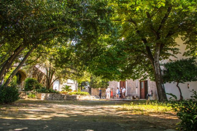 Galevac Private Boat tour, monastery grounds tour (28)