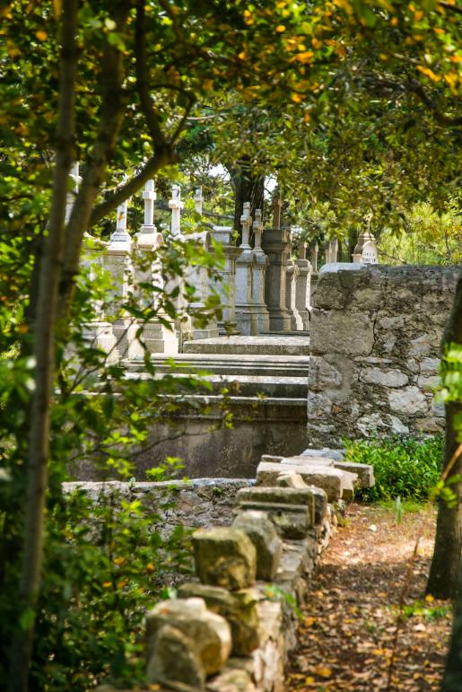 Galevac Private Boat tour, monastery grounds tour (36)