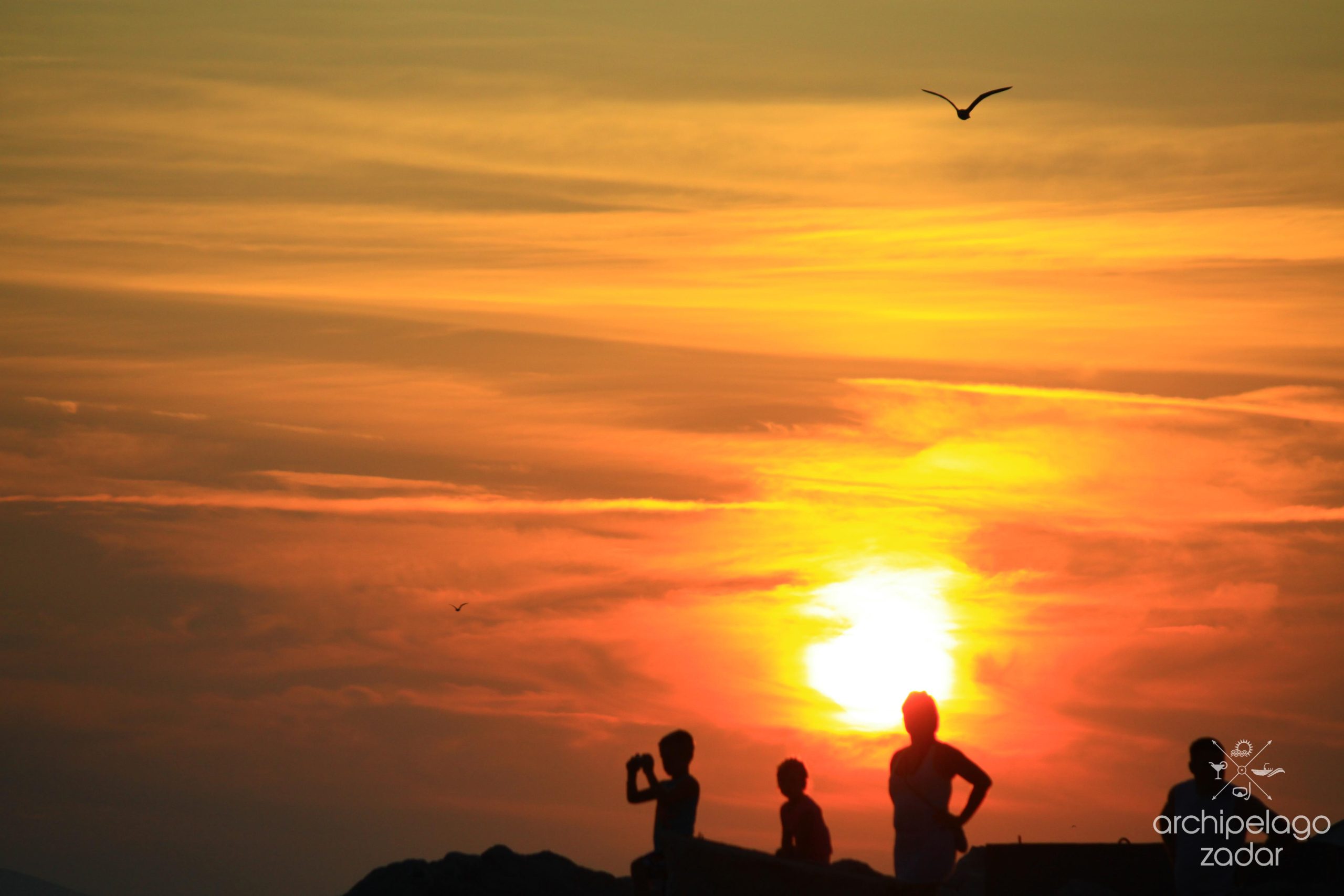 Best low price boat tour sunset (1)